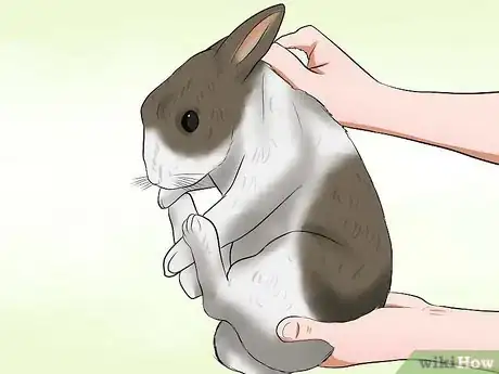 Imagen titulada Care for a House Rabbit Step 8