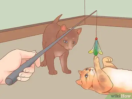 Imagen titulada Take Care of Kittens Step 23