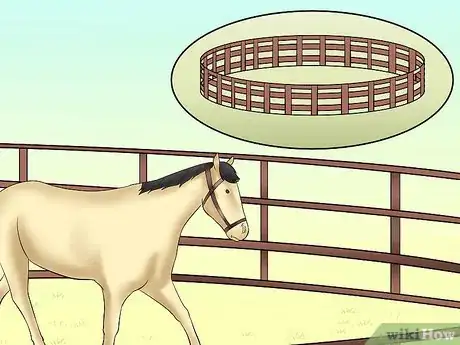 Imagen titulada Teach Your Horse to Lunge Step 8