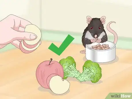 Imagen titulada Spot Common Signs of Illness in Mice Step 11