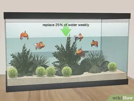 Imagen titulada Clean an Aquatic Moss Ball Step 6