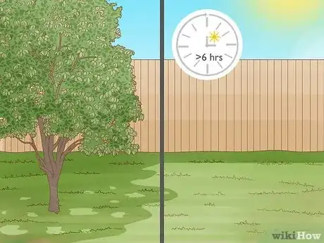 Imagen titulada Create Tree Flower Beds Step 1