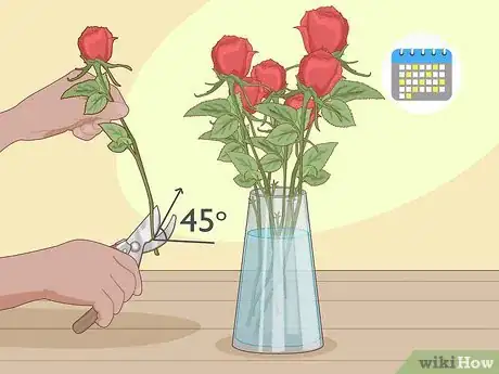 Imagen titulada Revive Roses Step 7