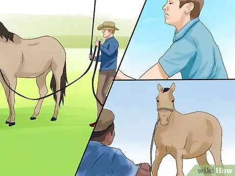 Imagen titulada Train a Horse to Respect You Step 6