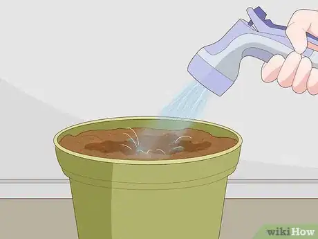 Imagen titulada Clone Plants Step 5