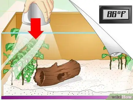 Imagen titulada Create a Green Anole Habitat Step 5