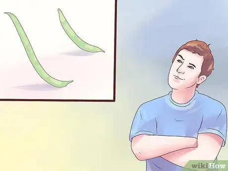 Imagen titulada Grow Pinto Beans Step 4