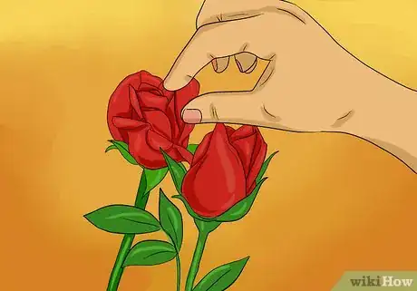 Imagen titulada Keep Rose Petals Fresh Step 5