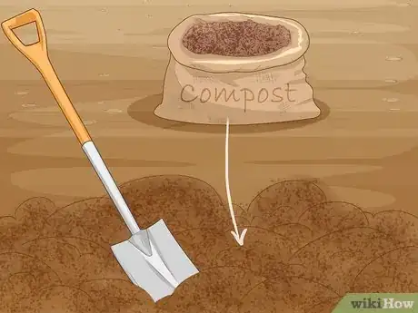 Imagen titulada Care for a Celosia Step 1