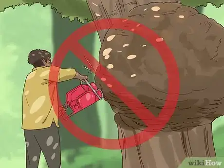 Imagen titulada Find Burl Wood Step 11