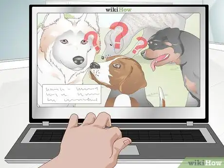 Imagen titulada Treat a Yeast Skin Infection in a Dog Step 11