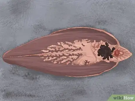 Imagen titulada Keep Your Fish from Dying Step 9