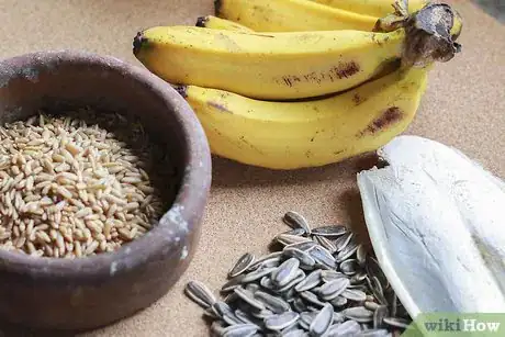 Imagen titulada Make Homemade Bird Food Step 2
