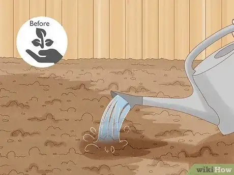 Imagen titulada Plant Forget Me Not Seeds Step 3