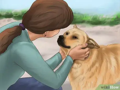 Imagen titulada Get Your Dog to Sleep Step 7