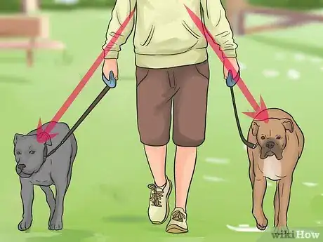 Imagen titulada Introduce a New Dog to Your House and Other Dogs Step 34