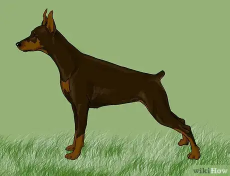 Imagen titulada Draw a Realistic Dog Intro