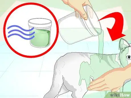 Imagen titulada Make an Herbal Flea Remedy for Cats Step 21