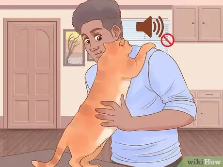 Imagen titulada Treat Hoarseness in Cats Step 12