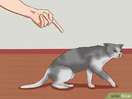 Imagen titulada Discipline Cats Step 15