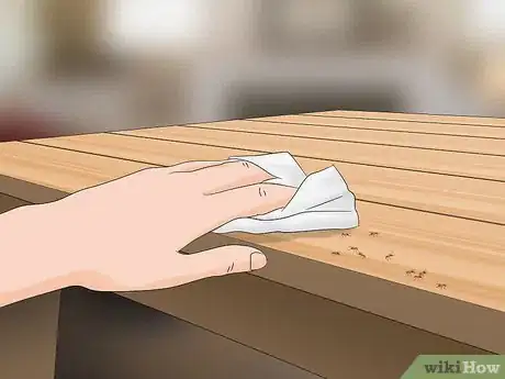 Imagen titulada Kill Ants in Your House Step 1