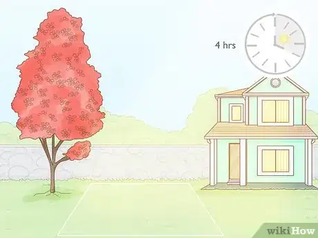 Imagen titulada Plant a Maple Tree Step 3