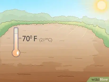 Imagen titulada Grow Potatoes from Potatoes Step 1