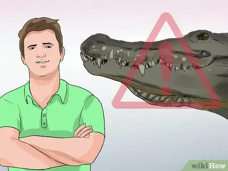 Imagen titulada Tell a Freshwater Crocodile from a Saltwater Crocodile Step 7