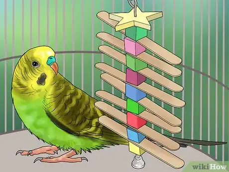 Imagen titulada Keep a Parakeet Groomed Step 2