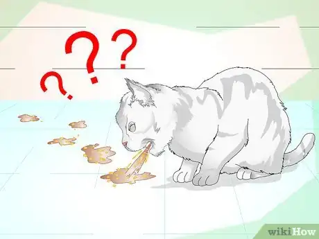 Imagen titulada Keep Your Cat from Urinating Where It Shouldn't Step 7