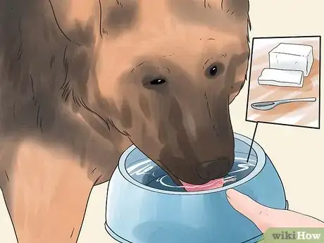 Imagen titulada Tape Up Stubborn German Shepherd Puppy Ears Step 13