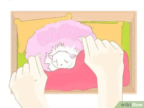 Imagen titulada Care for a Pygmy Puff Step 9