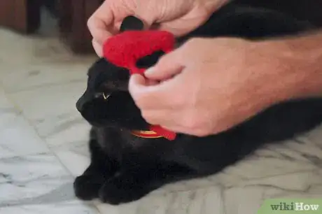Imagen titulada Crochet a Cat Hat Intro