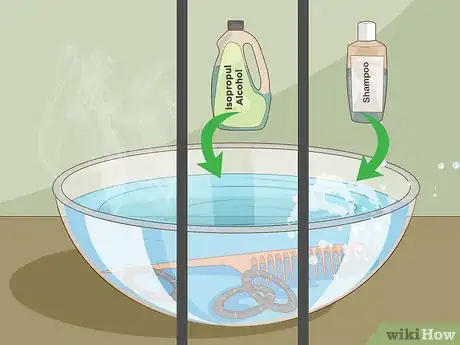 Imagen titulada Prevent Lice Step 7