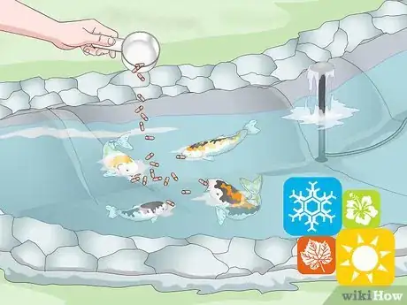 Imagen titulada Raise Koi Step 8