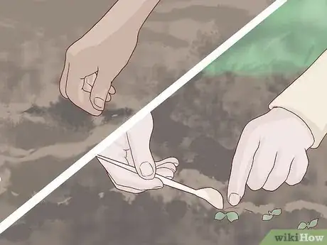 Imagen titulada Care for Daisies Step 6