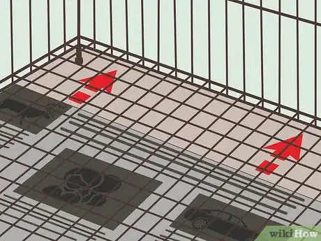 Imagen titulada Keep a Parakeet Groomed Step 4