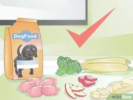 Imagen titulada Feed a Dog Step 1