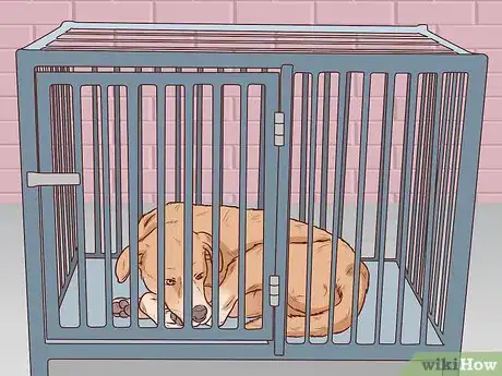 Imagen titulada Know if Your Dog Has a Slipped Disc Step 6