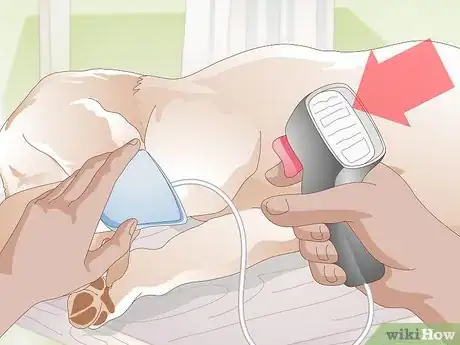 Imagen titulada Take a Dog's Blood Pressure Step 4
