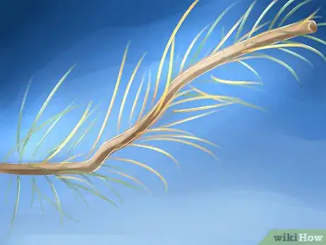 Imagen titulada Get Rid of Bagworms Step 3