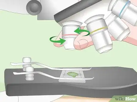 Imagen titulada Use a Light Microscope Step 5