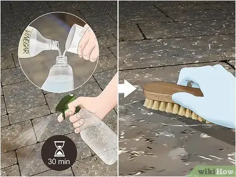 Imagen titulada Clean a Stone Patio Step 2