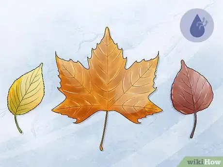 Imagen titulada Preserve Fall Leaves Step 3