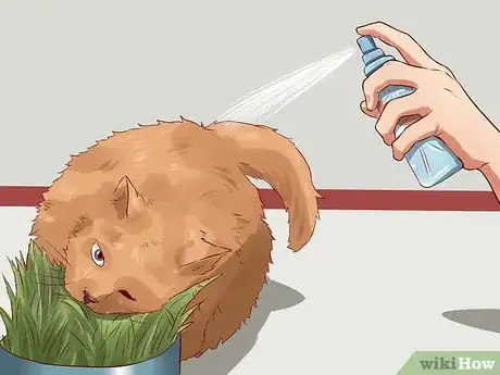 Imagen titulada Discipline Cats Step 13