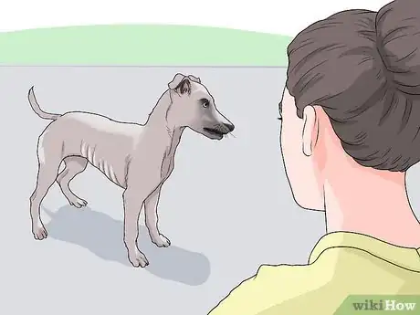 Imagen titulada Spot Signs of Muscle Loss in Dogs Step 2