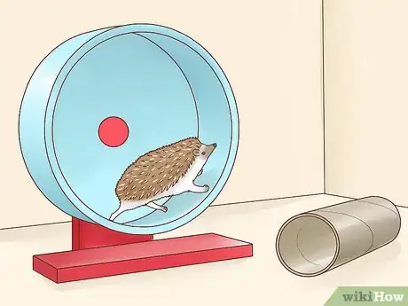 Imagen titulada Take Care of a Hedgehog Step 20