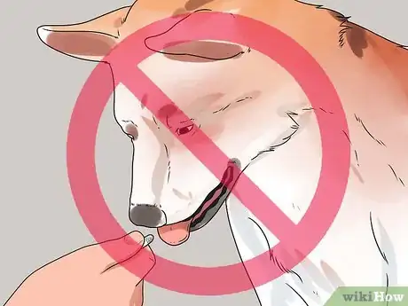 Imagen titulada Treat Dog Diarrhea Step 8