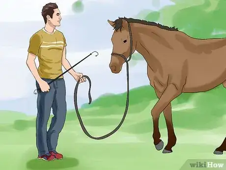 Imagen titulada Train a Horse to Respect You Step 4