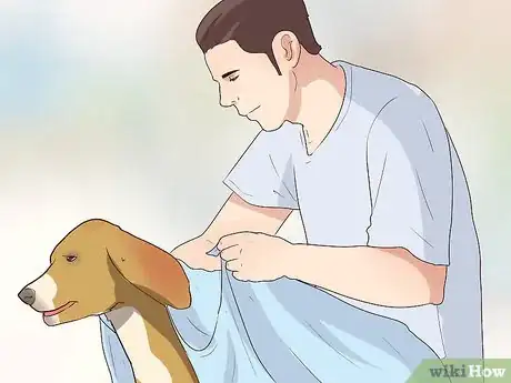 Imagen titulada Comfort Your Sick Dog Step 16